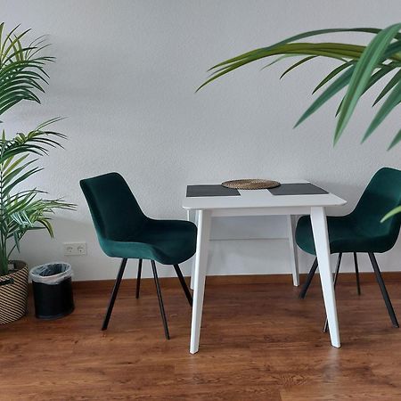 Rooftop Apartments - Modernes Studioapartment Fuer 3 Personen Langenau Eksteriør billede