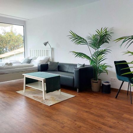 Rooftop Apartments - Modernes Studioapartment Fuer 3 Personen Langenau Eksteriør billede